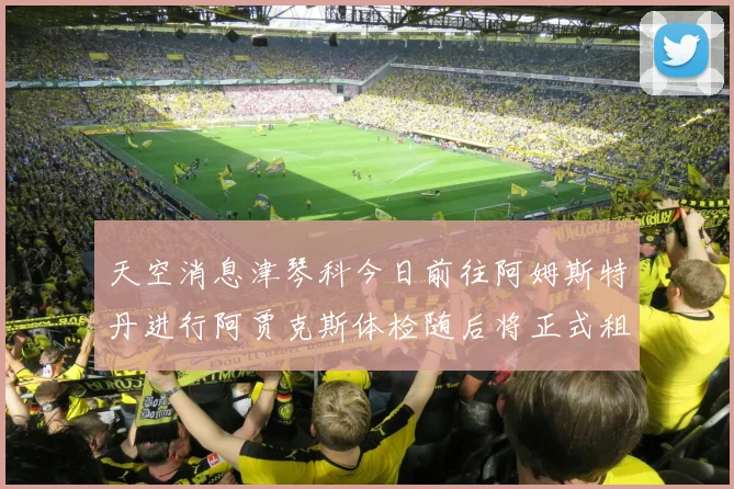 天空消息津琴科今日前往阿姆斯特丹进行阿贾克斯体检随后将正式租借加盟