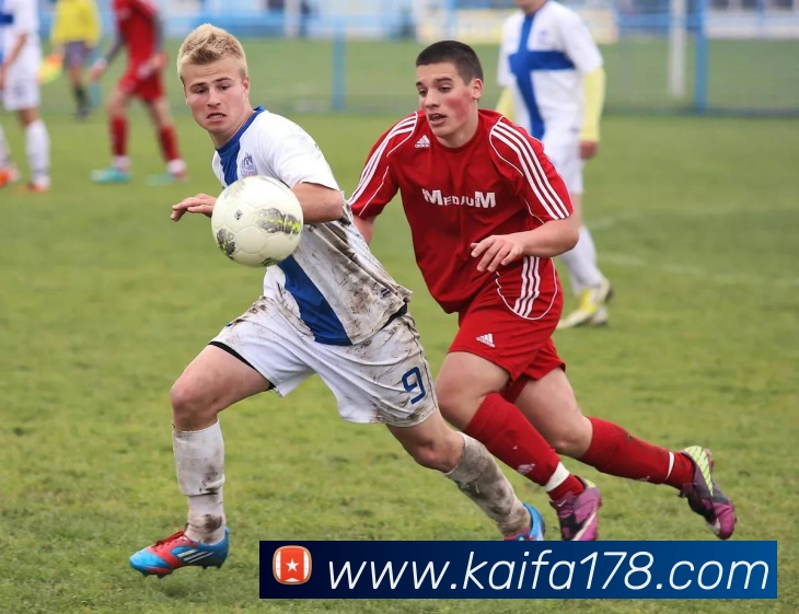 凯发平台平台生态图